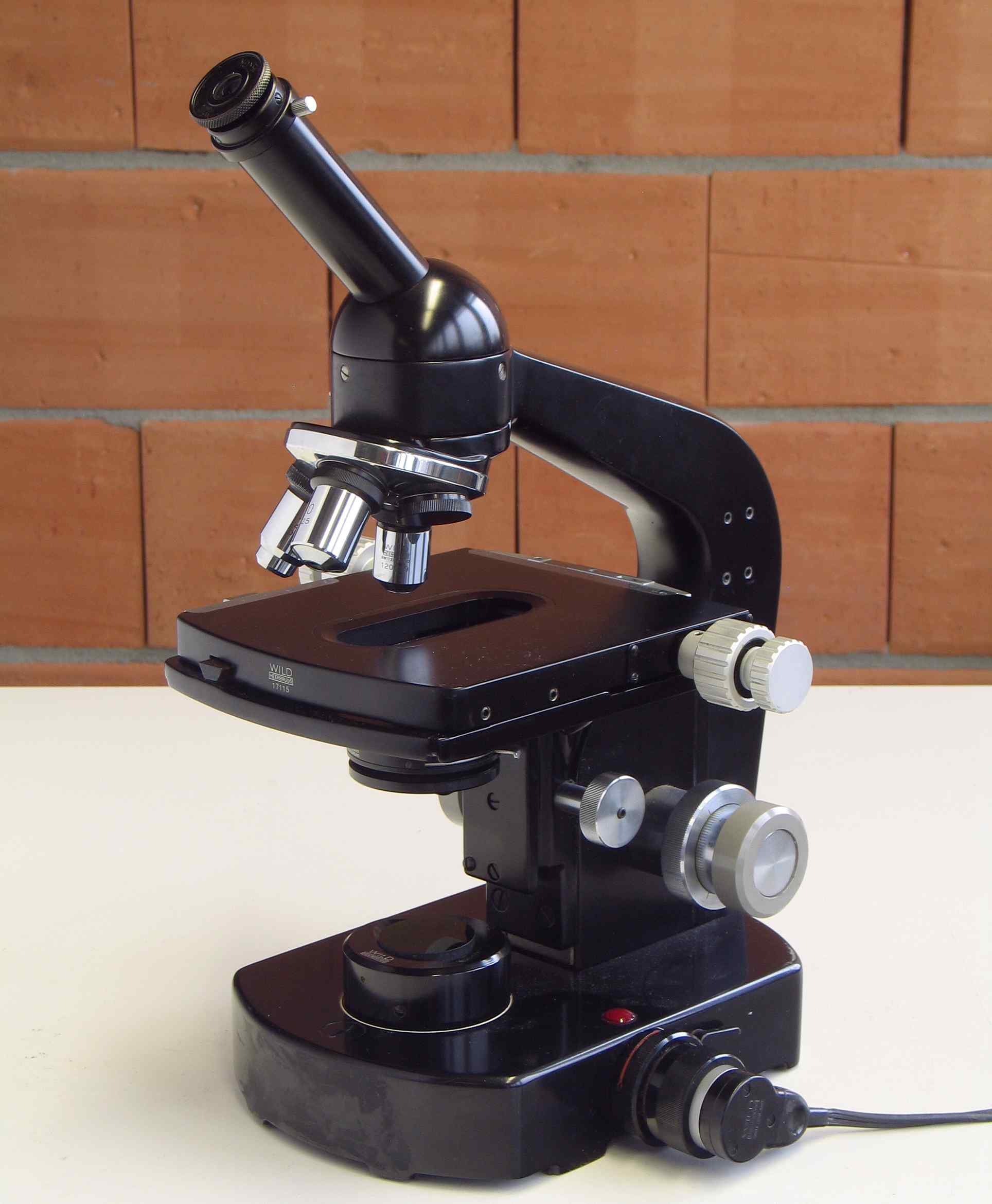 Microscopes composés (M20)
(avec tables orientables à déplacement x–y micrométrique)