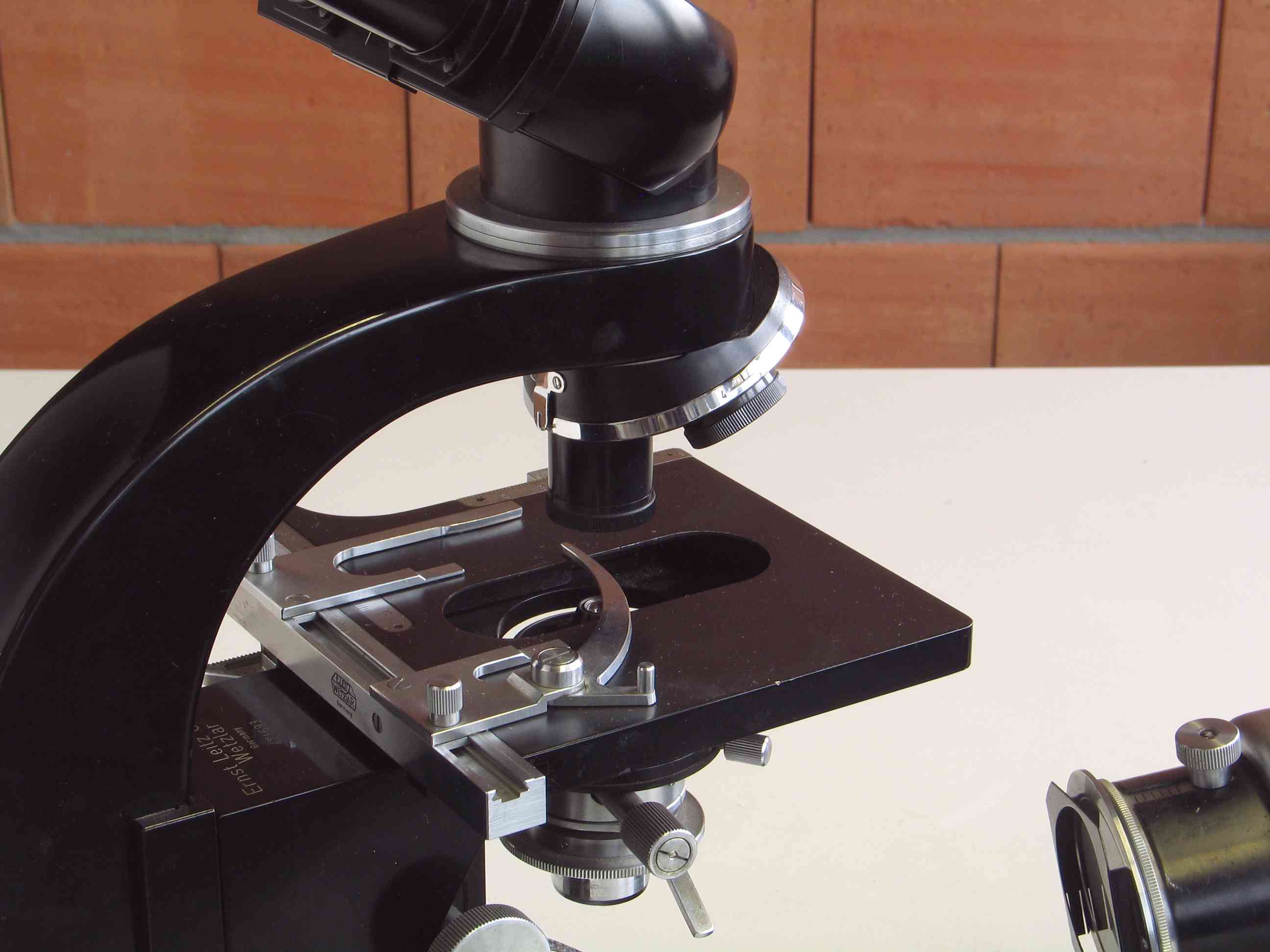 Microscope composé
(Leitz Laborlux)